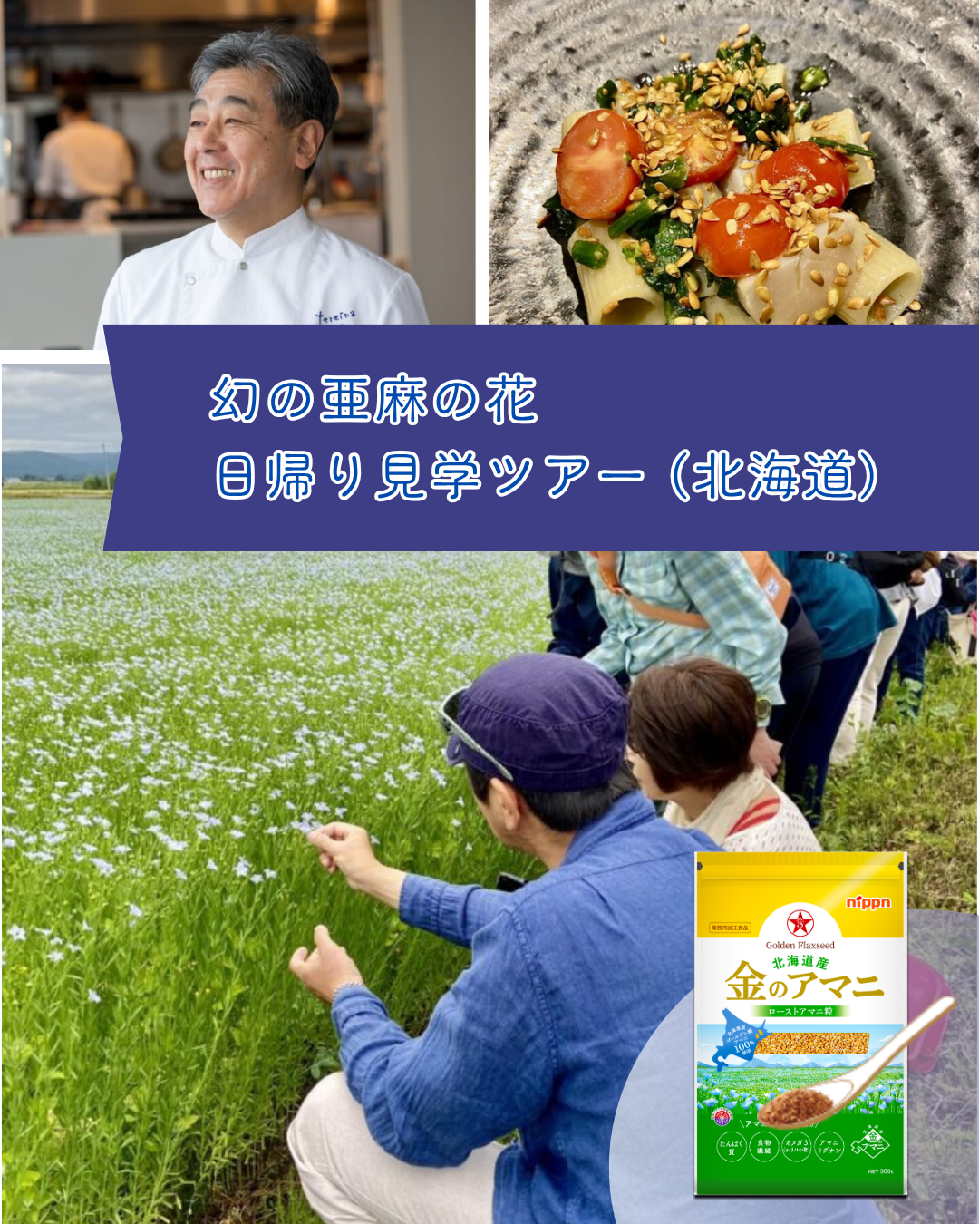 幻の亜麻の花 日帰り見学ツアー(北海道)